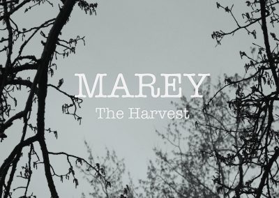 MAREY – THE HARVEST (EP)
