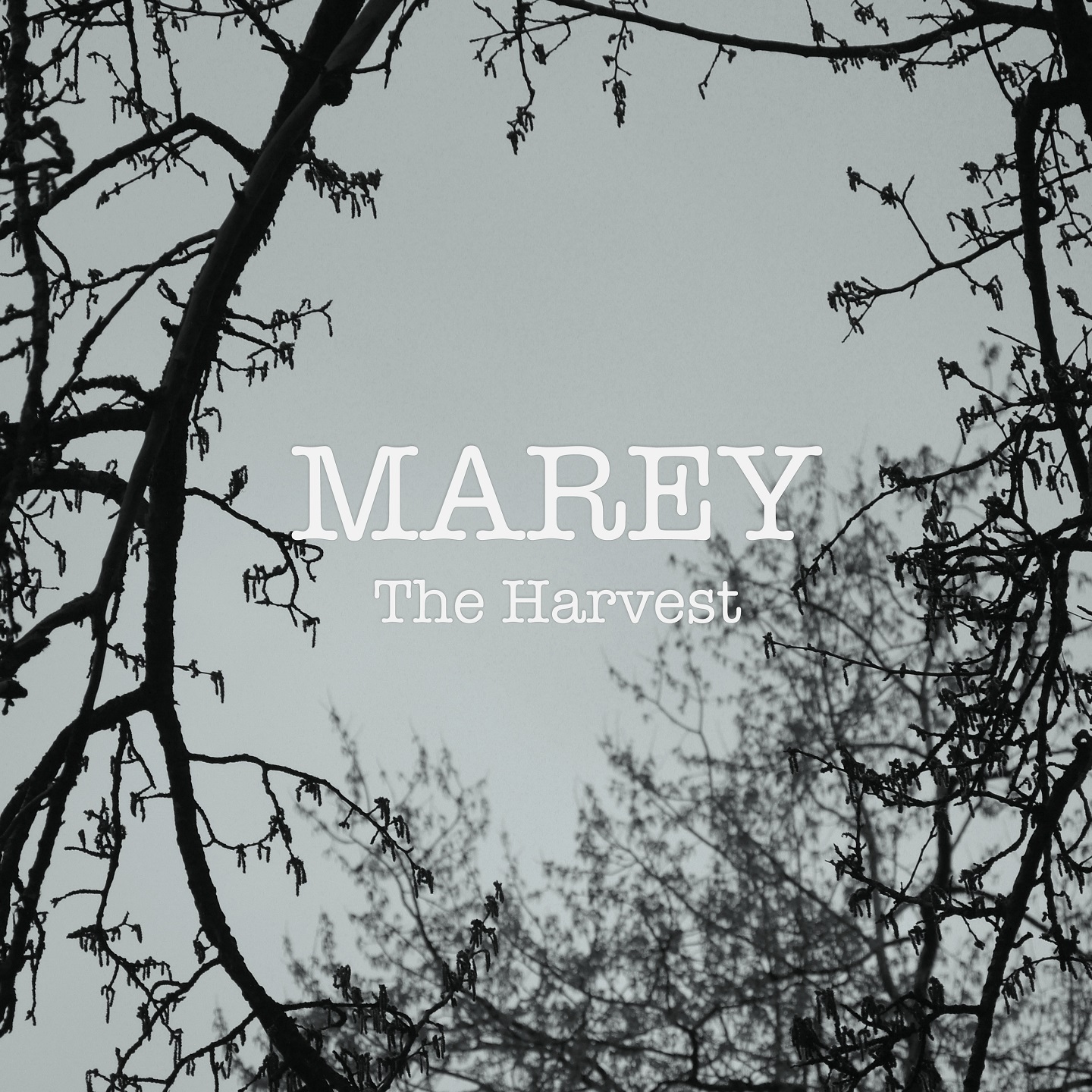 MAREY – THE HARVEST (EP)
